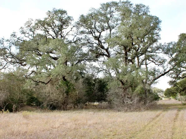 PARCEL 12 Lobo Ln, Columbus, TX 78934
