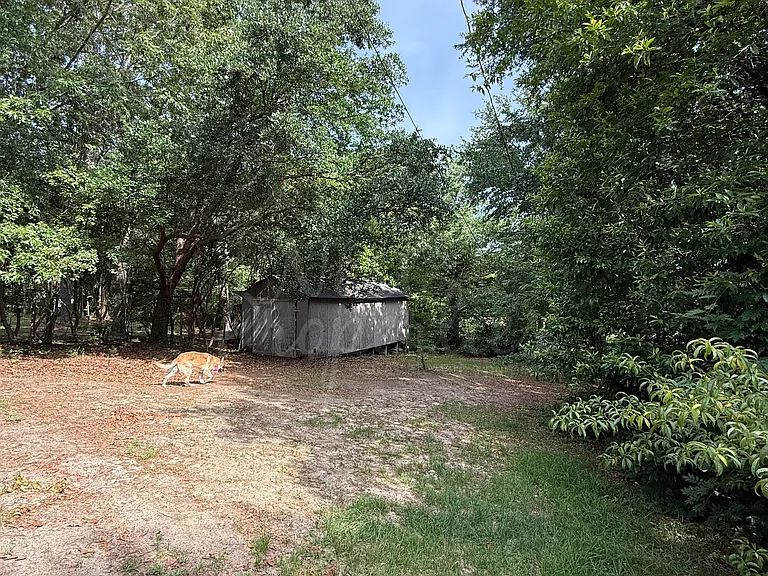 3217 Quitman St — Photo 11