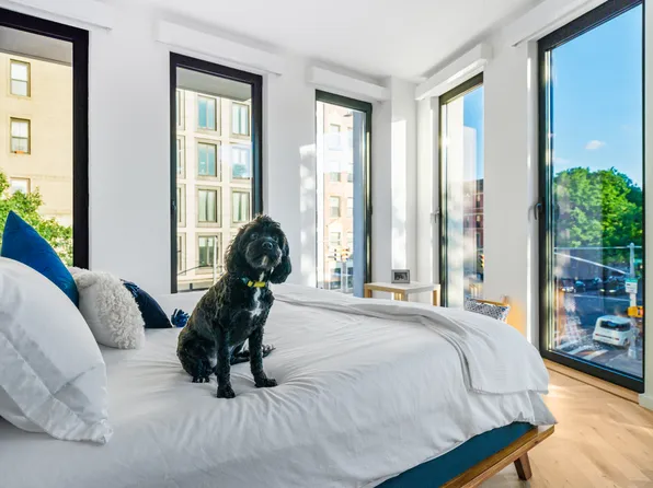 805 Washington Avenue image 6 of 23