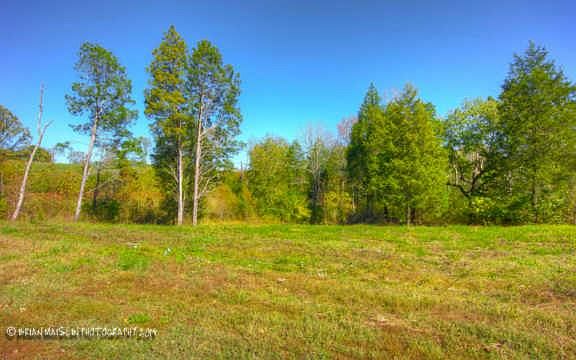 3rd image of 139 Angels Cove Ln