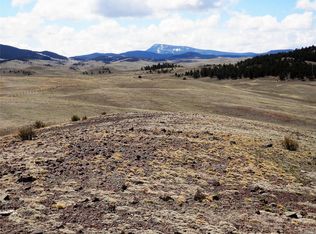 6884 Cahokia Rd, Hartsel, CO 80449