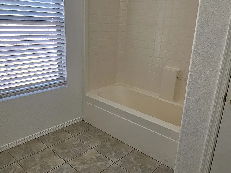 Primary Shower