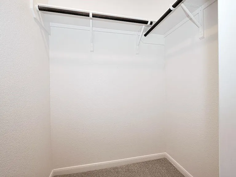 29310 Sweet Orange Ct — Photo 28