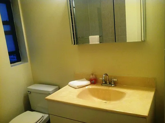 Rented by GPS Realty NYC | media 23