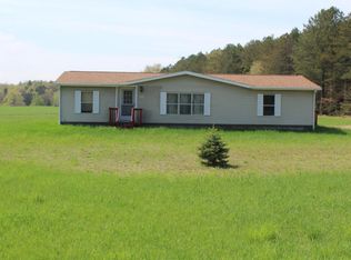 6083 W Morris Lake Rd, Mears, MI 49436