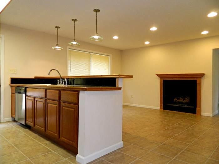 Open Kitchen/Fire Place