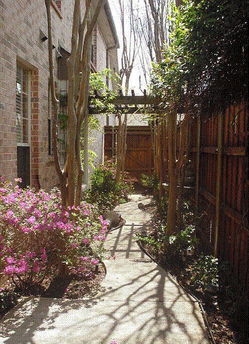 Sideyard through master