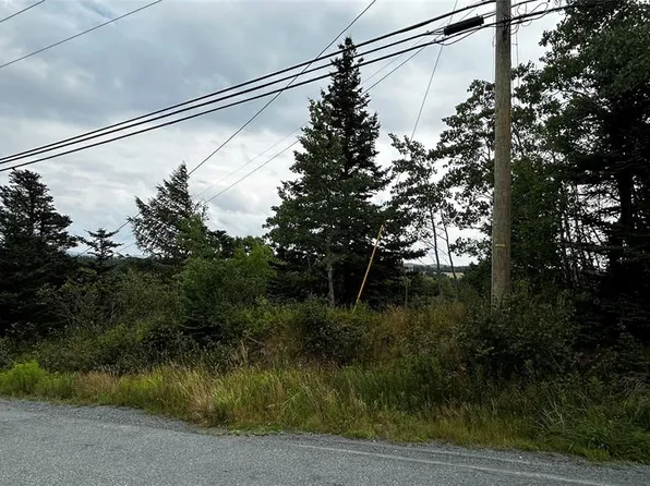 177 Bauline Line, Torbay, NL A1K1H6