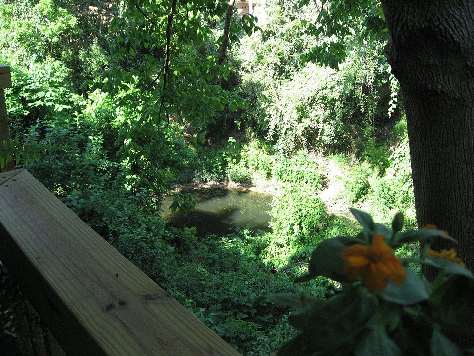 Turtle Pond