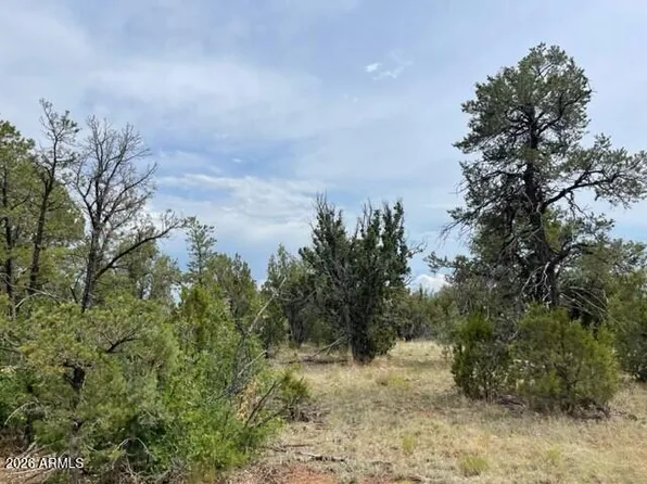 8418 HAVEN CREST Drive #223, Happy Jack, AZ 86024