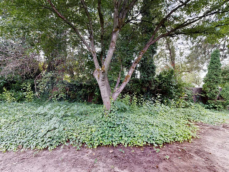 Tualatin Heights — Photo 39
