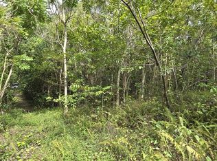 Carr 647 Bo Candelaria Lote D, Vega Alta, PR 00692