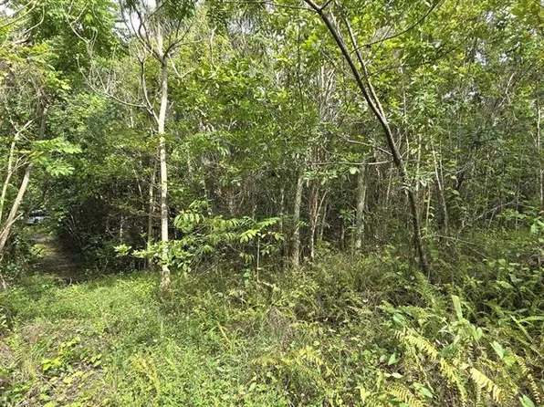 Carr 647 Bo Candelaria Lote D, Vega Alta, PR 00692