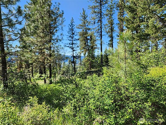4th image of 0 Gold Mountain Road