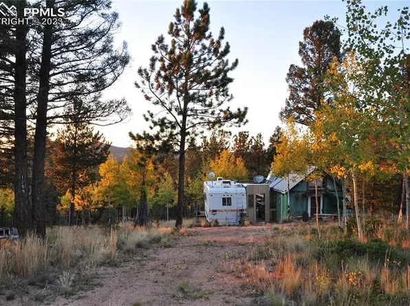 1299 Rangeview Rd, Divide, CO 80814