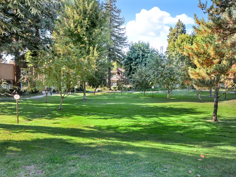 Park