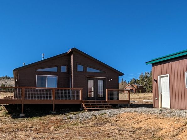 170 Foxtail Ct, Fairplay, CO 80440