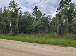 SE 144th Ave LOT 4, Williston, FL 32696
