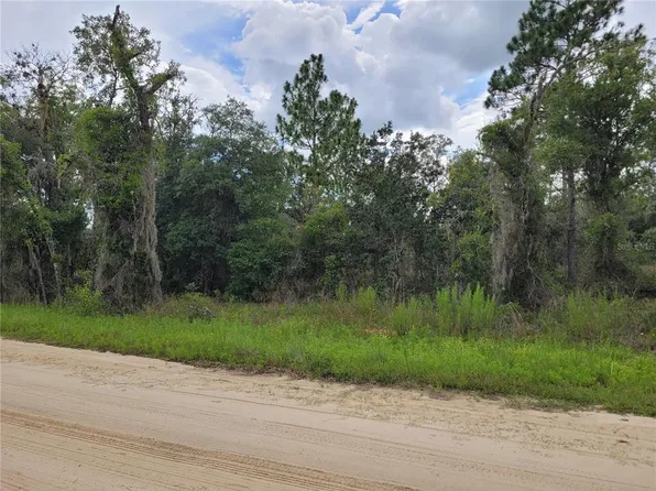 SE 144th Ave Lot 4, Williston, FL 32696
