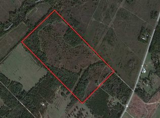 62 Hornet Rd, Hawkinsville, GA 31036