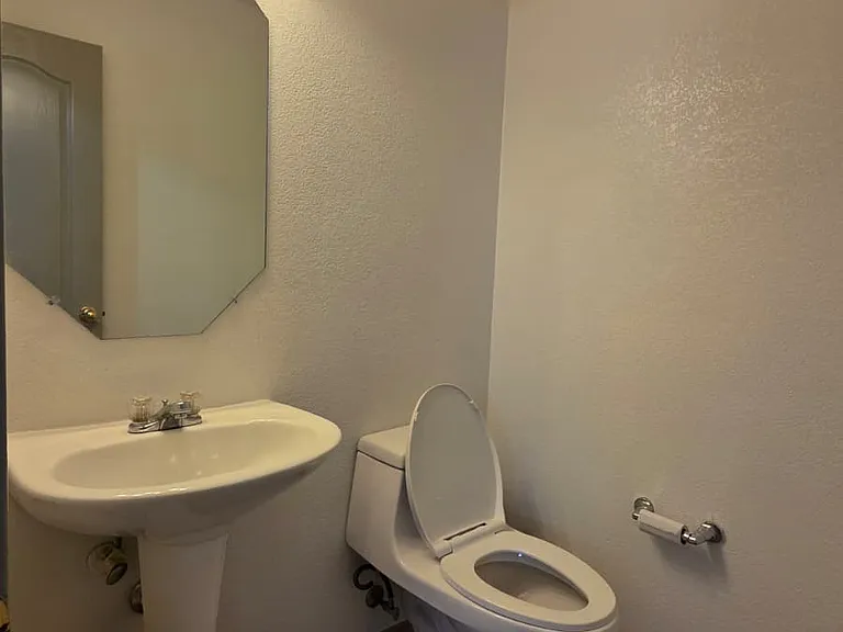 half bathroom (downstairs)