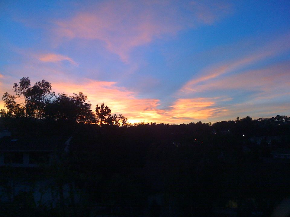 Front Yard View