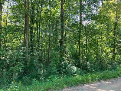3642 Beech St, Beaverton, MI, 48612