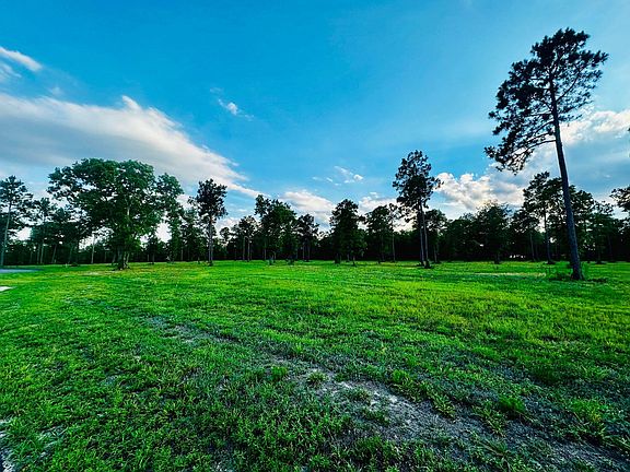 3rd image of LOT 6 Troup Mnr SE