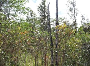 21st Avenue Mikana LOT 398, Keaau, HI 96749