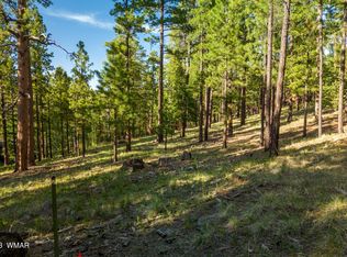 9 1064th, Greer, AZ 85927