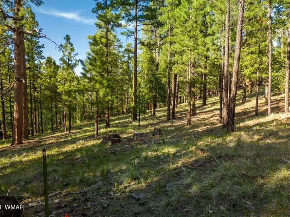 9 1064th, Greer, AZ 85927