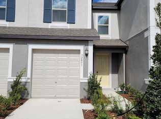 32051 Blue Passing Loop, Wesley Chapel, FL 33545