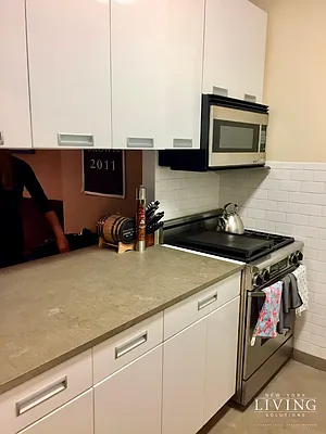 Rented by NY Living Solutions | media 20