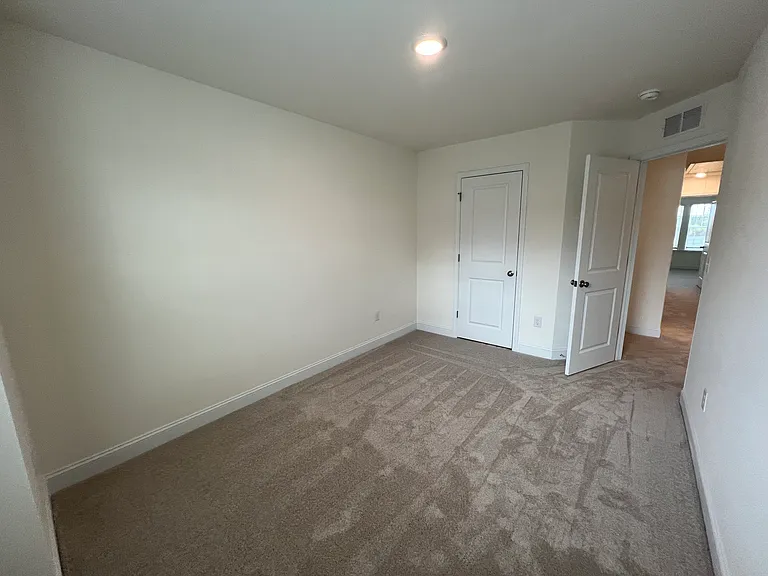 53 Bluebottle St — Photo 21