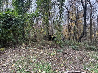 233 Poston Chapel Ln, Gainesboro, TN, 38562