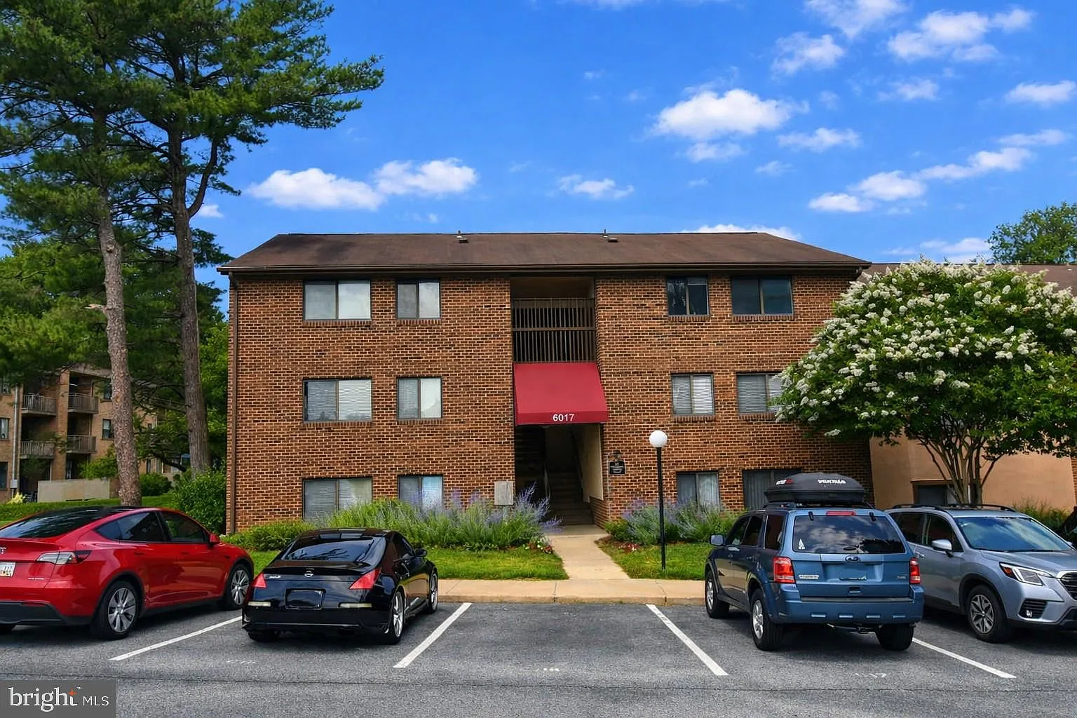 2 bed, 982 sqft, $1,650 — Photo 1