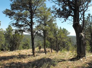 1630 Clear Creek Dr, Happy Jack, AZ 86024