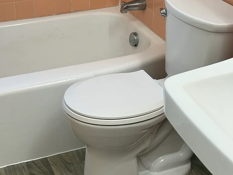 419 Shady Ave — Photo 12