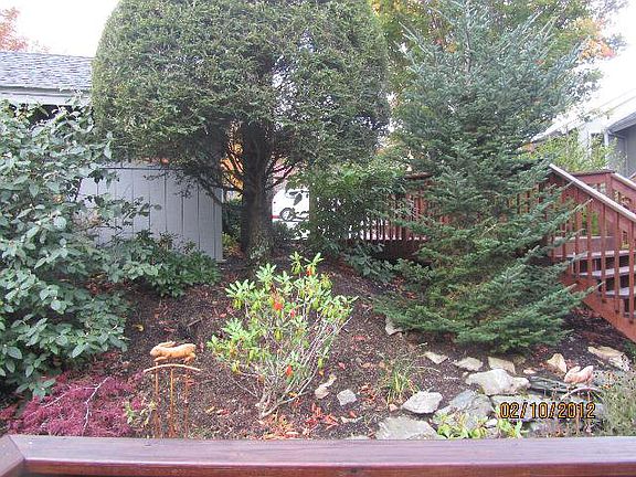 3rd image of 538 Shelter Rock Cir APT C13