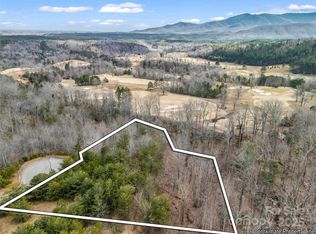 146 Weeburn Cv, Mill Spring, NC 28756