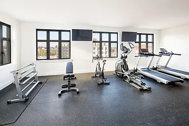 Rented by Bold New York