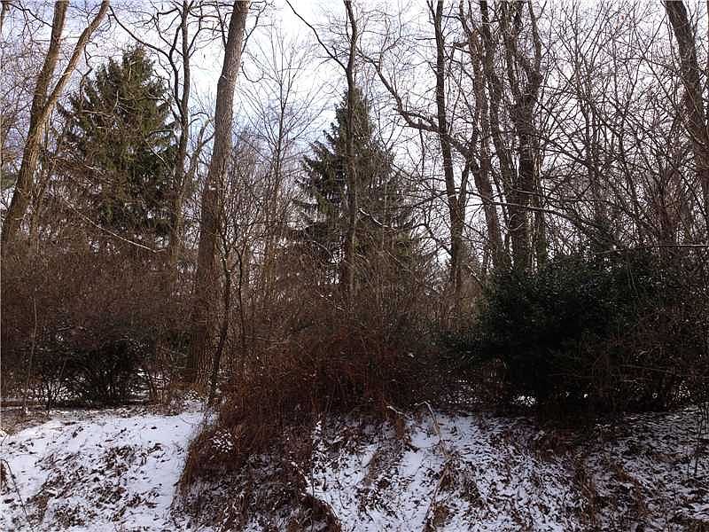 2nd image of 521 McElheny Rd