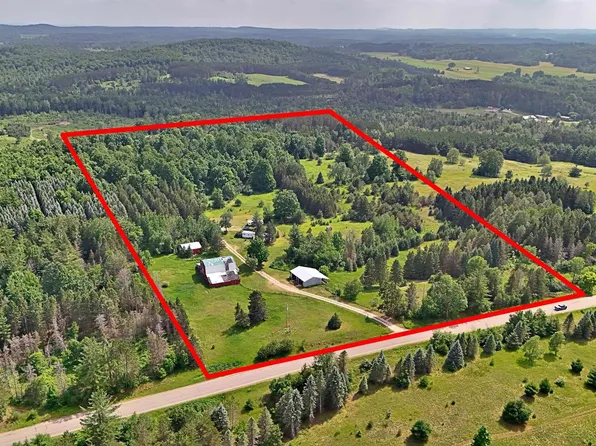 11601 W Rhoby Rd, Manton, MI 49663