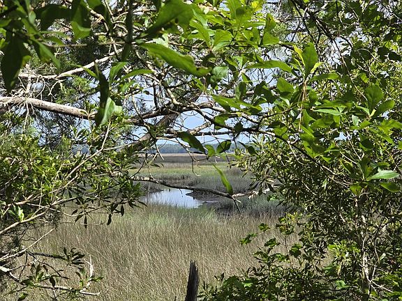 3rd image of 121 Laurel Marsh Way