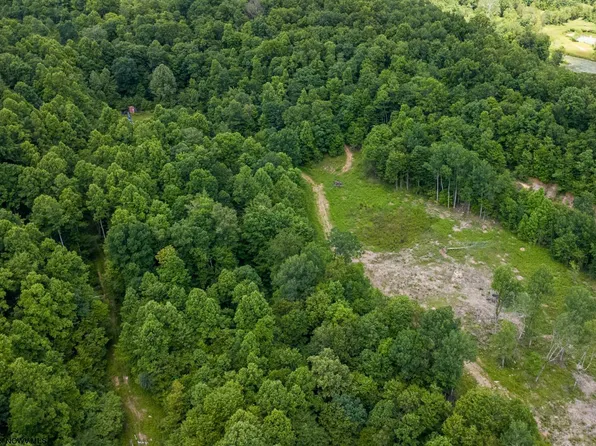LOT 15 Lake Island Dr, Belington, WV 26250