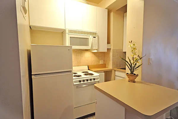 Sold by Carol E Levy | media 11