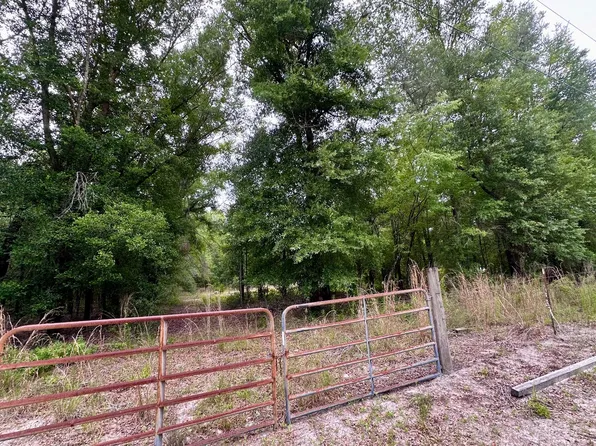 33 Drive, Wellborn, FL 32094