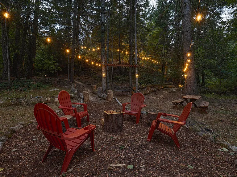 Game night in the forest