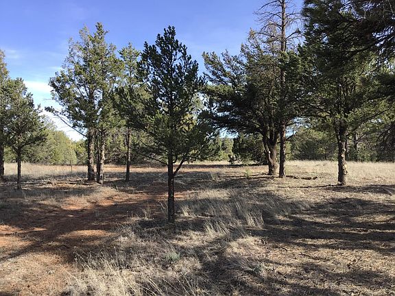 2nd image of LOT 4 E Elk Dr