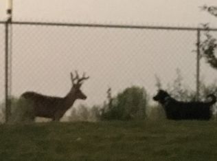 218 Aerie Ln, Elko, NV 89801